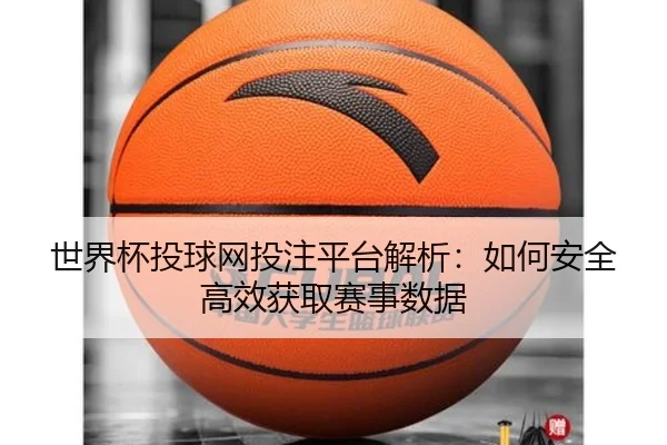世界杯投球网投注平台解析：如何安全高效获取赛事数据
