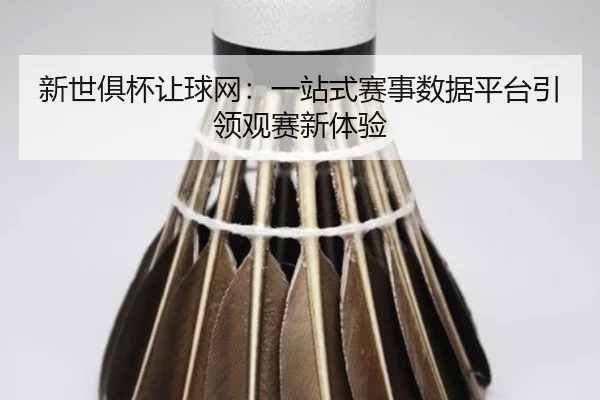 新世俱杯让球网：一站式赛事数据平台引领观赛新体验